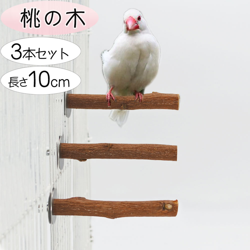 楽天市場】セキセイインコ コザクラインコ 文鳥 鳥 止まり木 リンゴの