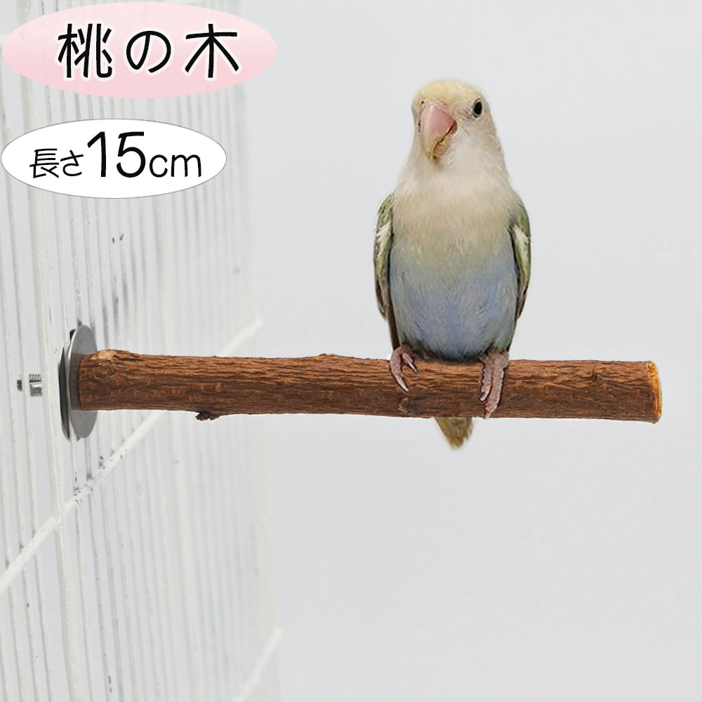 楽天市場】インコ 止まり木 セキセイインコ ボタンインコ マメルリハ