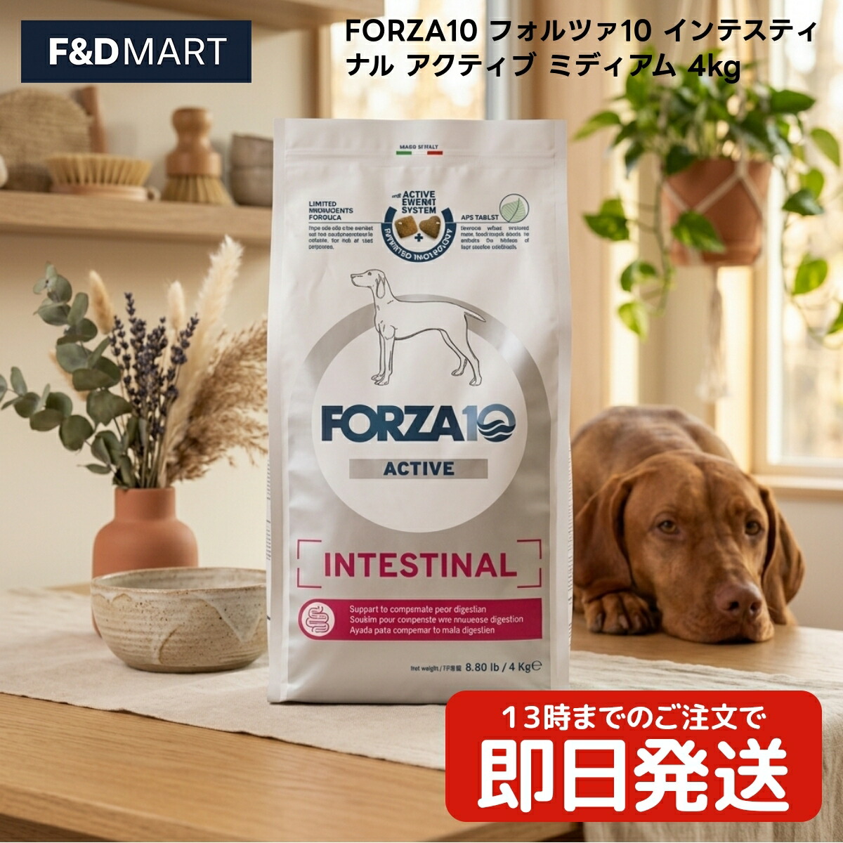 FORZA10 フォルツァ10 インテスティナル 積極的 並み並み 4kg x1個 成犬用 ドッグフード イタリア共和国産 中粒 エアドライフィッシュ 精米 魚当て嵌める イタリア製