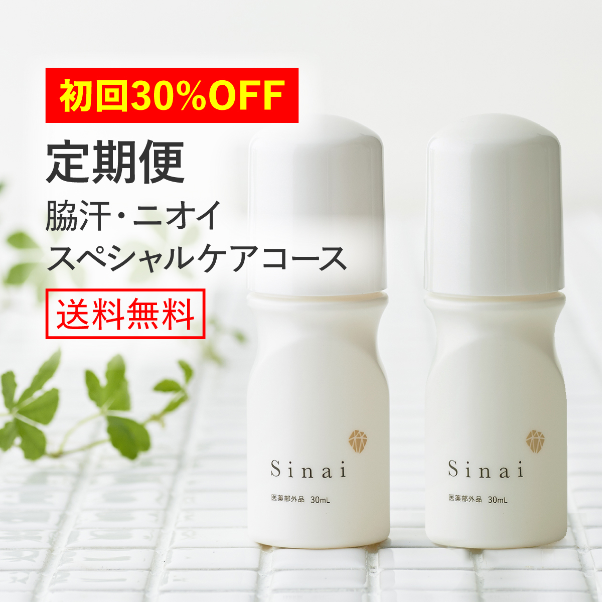 【予告】12月1日ポイント20倍！ 【初回1本あたり4,059円！その後も10%OFF】 シナイ定期便 1ヶ月2本コース 送料無料：Hareruya