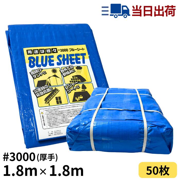 楽天市場】ブルーシート 10m×10m ＃3000 厚手 2枚入 : 建TOOL