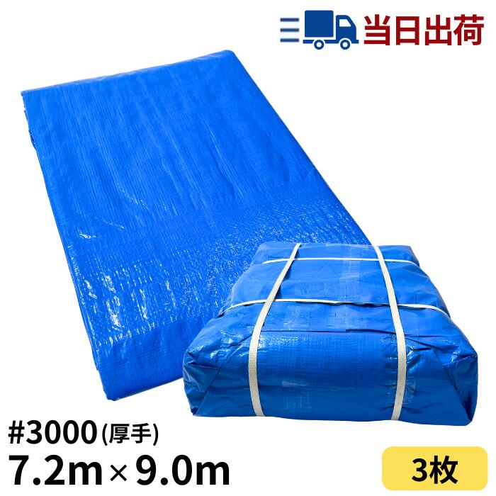 楽天市場】ブルーシート 10m×10m ＃3000 厚手 2枚入 : 建TOOL 楽天市場店