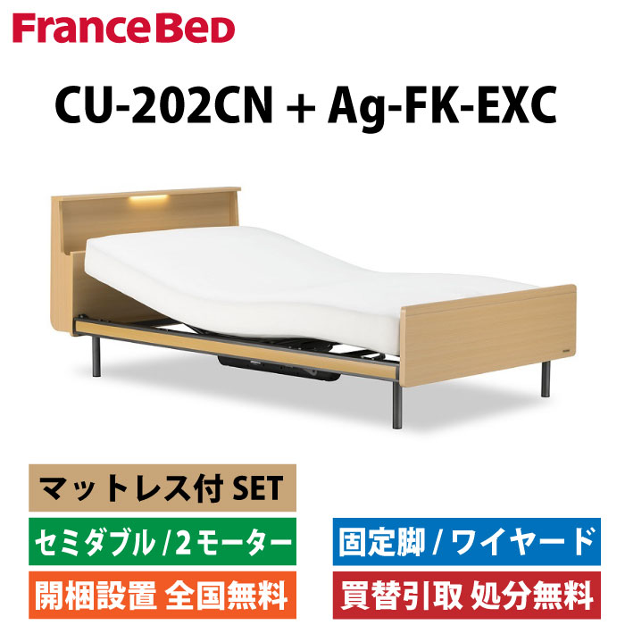 FRANCEBED 電動リクライニング介護ベッド 無料のフランスベッド