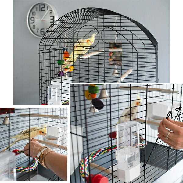 おしゃれな鳥かご 大型鳥用縦長型ケージ Viora 鳥かご ビオラ イタリアferplast社製 フルセット 鳥かご 送料無料 ゲージ Viora ゲージ 鳥籠 オカメインコ セキセイインコ おしゃれ Fantasy World おしゃれな鳥かご 大型鳥用縦長型ケージ Viora 鳥かご ビオラ イタリアferplast社製 フルセット 鳥かご 送料無料 ゲージ Viora ゲージ 鳥籠 オカメインコ セキセイインコ おしゃれ Fantasy World