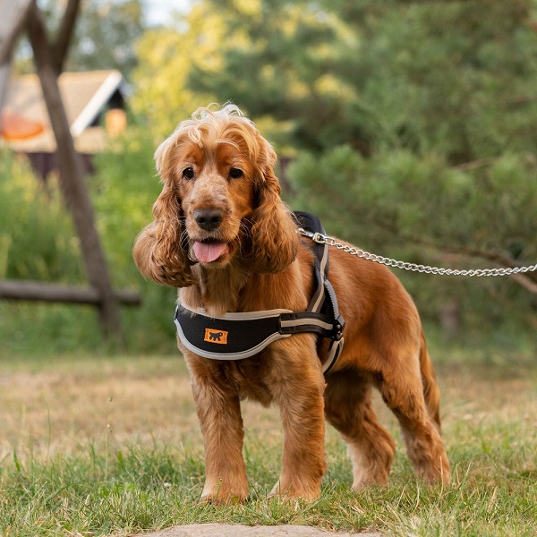 犬 介護用 馬具 3大きさ エルゴ コンフォート ノース ERGO COMFORT NORDIC 犬用 ケガ 老犬 助けること イタリア共和国ferplast社製