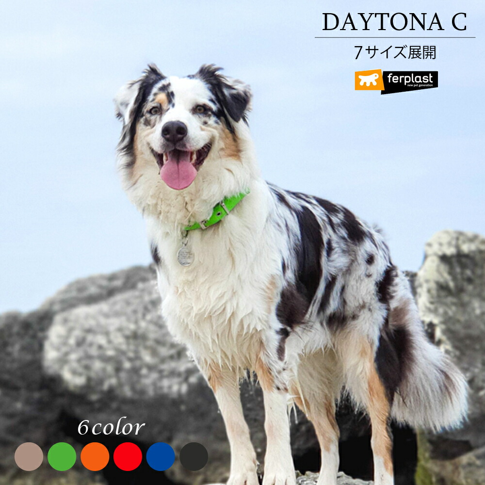 犬 首輪 デイトナ C 7サイズ 6カラー DAYTONA くびわ クビワ イタリアferplast社製
