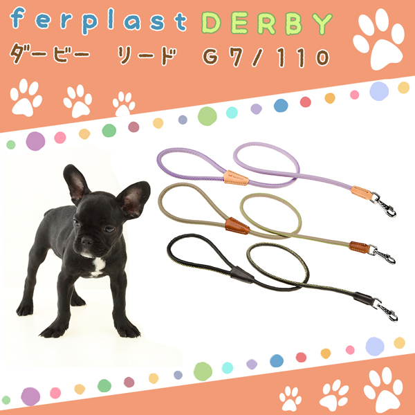 楽天市場 イタリアferplast社製 ダービー Derby リード G7 110 犬 りーど リード さんぽグッズ 散歩用品 お出かけ お散歩グッズ Fantasy World