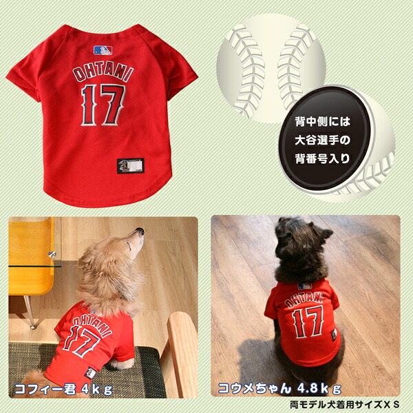在庫限り】大谷翔平選手モデル ジャージ Sサイズ LOS ANGELES ANGELS 