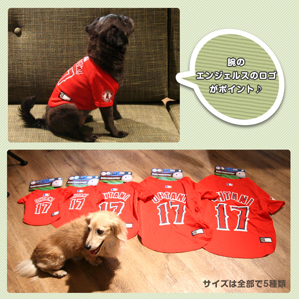 印刷可能 大谷翔平犬 かわいい犬のアニメ