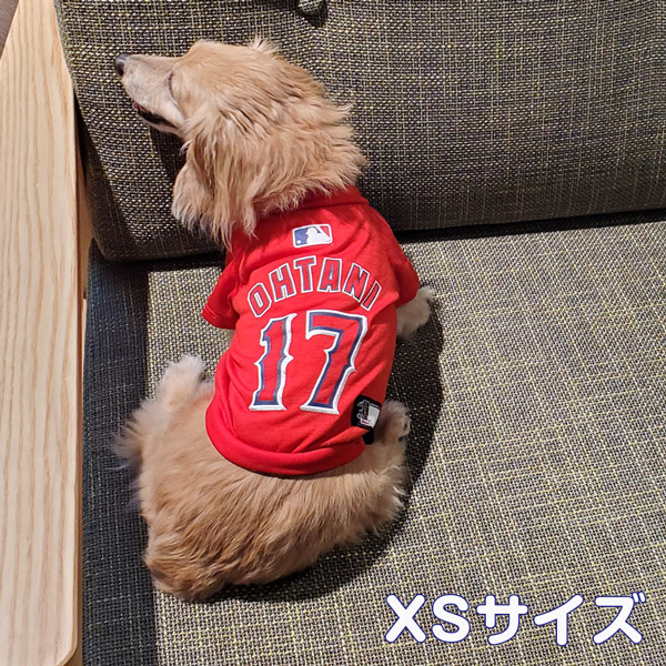 楽天市場】【在庫限り】大谷翔平選手モデル Ｔシャツ Ｍサイズ LOS 