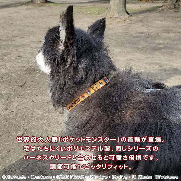 楽天市場 ポケモン カラー Xs イエロー 犬 猫用 首輪 クビワ 犬 くびわ お出かけ Fantasy World