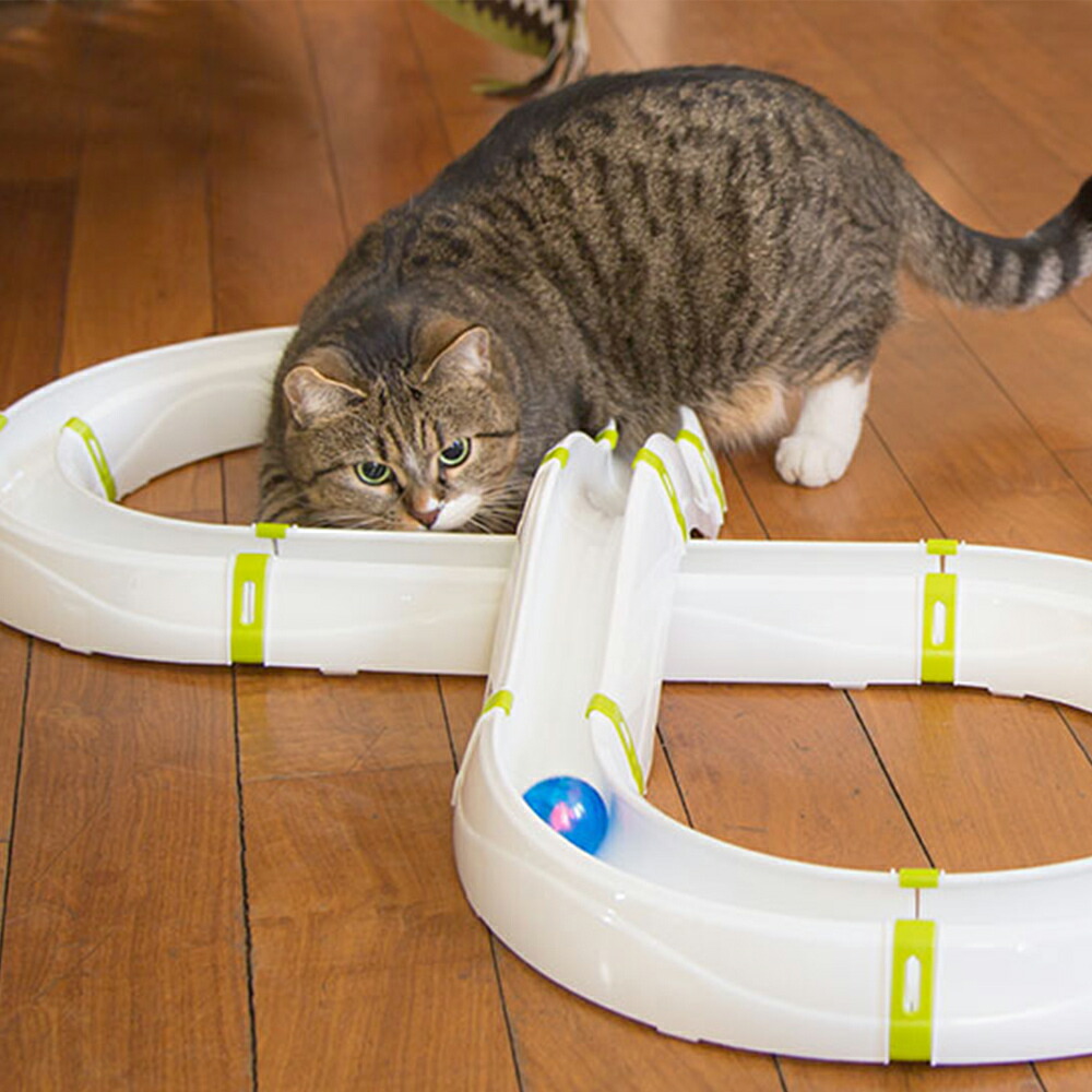 楽天市場】猫 おもちゃ 8の字サーキット キャットトイ ペット