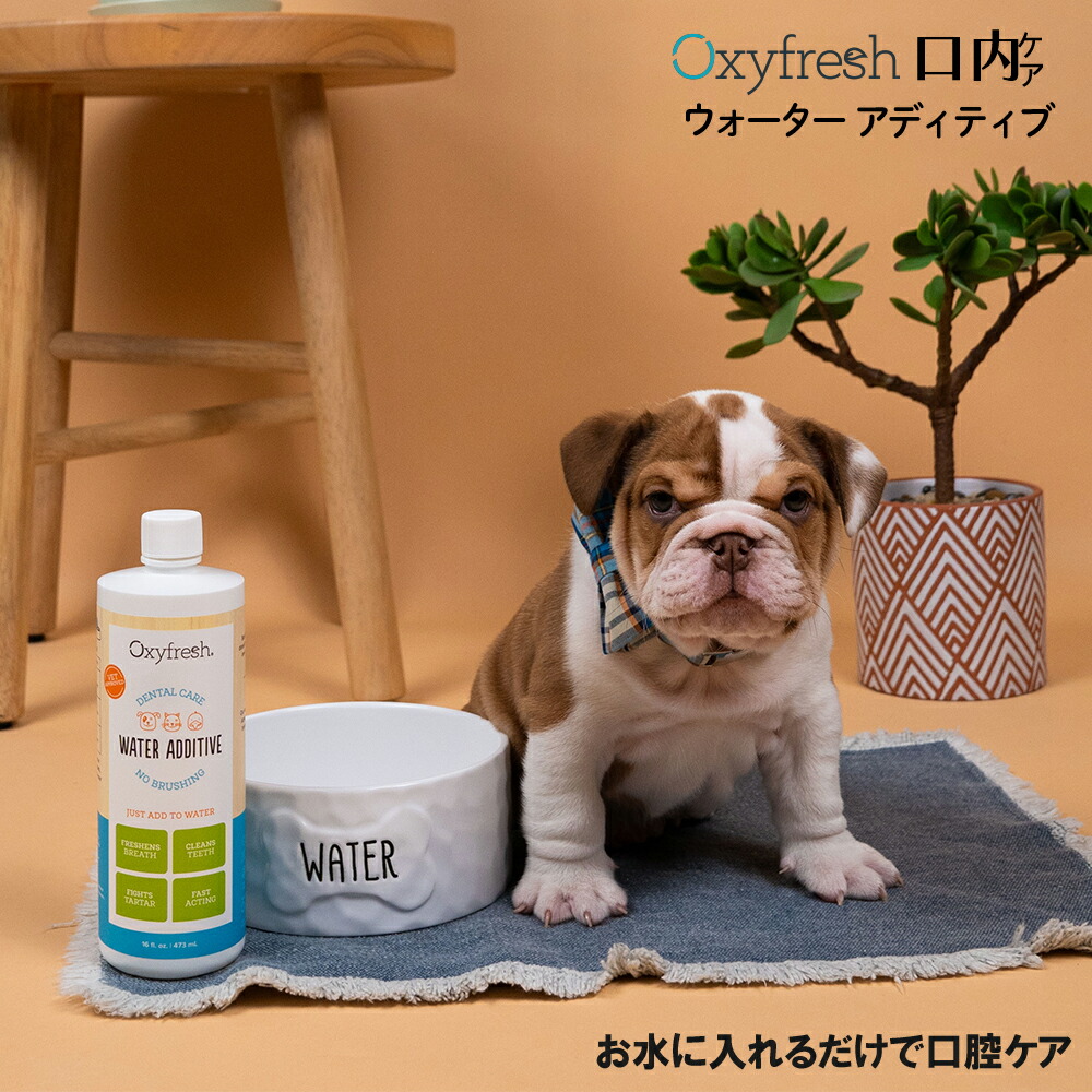 ペットデンタルウォーターアディティブ  89ml・237ml・473ml・3.8Ｌ Oxyfresh オキシフレッシュ 犬 猫 口臭 歯 お水に混ぜるだけ