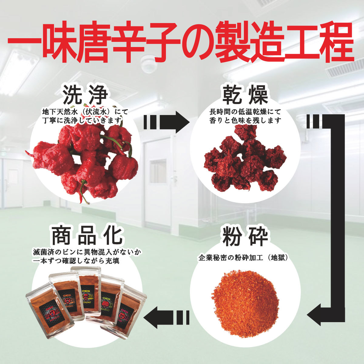【無選別】キャロライナリーパー 超激辛一味唐辛子 10g ギネス認定世界一辛い唐辛子