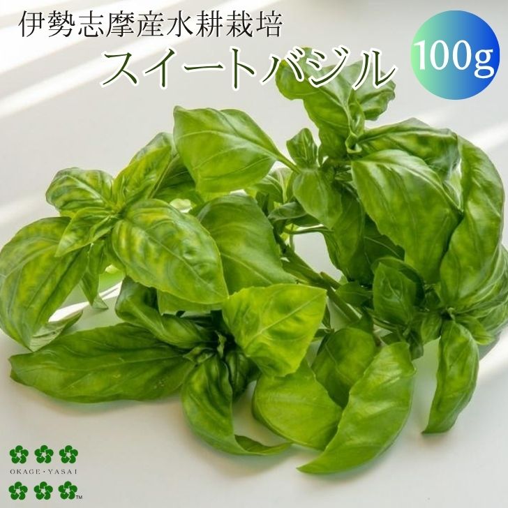 フレッシュスイートバジル4kg 【公式通販】