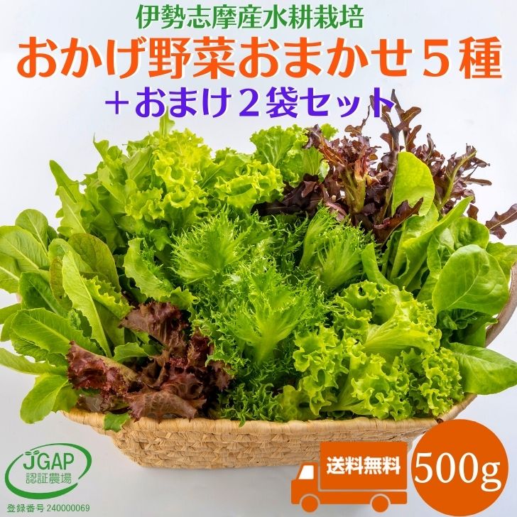 【楽天市場】野菜セット ５種類詰め合せ 200g 水耕栽培 お試し