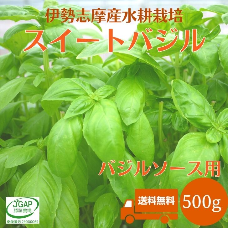 フレッシュスイートバジル2kg スイートバジル｜FRESH HERBS｜あぐりぴあ沖縄のハーブとミツバチ