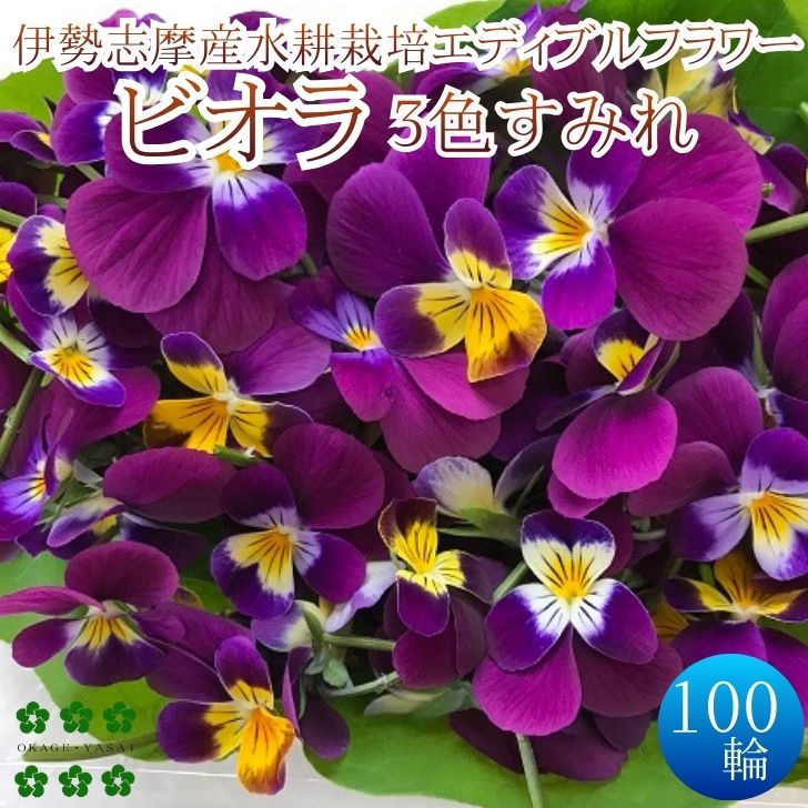 楽天市場】すみれのブーケ スミレ 造花 花束テーブルデコレーション