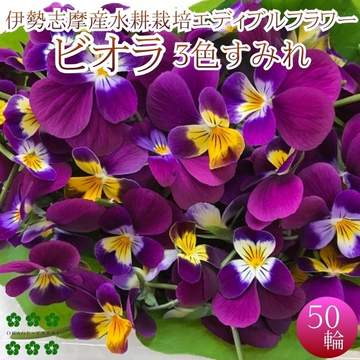 楽天市場】【ひなまつりSALE！】エディブルフラワー ビオラ（3色