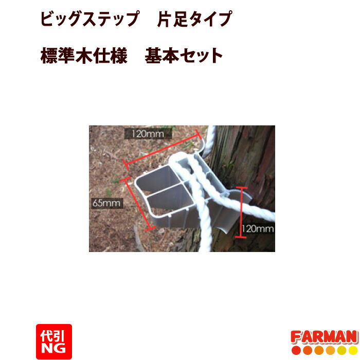 ビッグステップ （片足ステップ）【代引不可】巴化成 37,570円