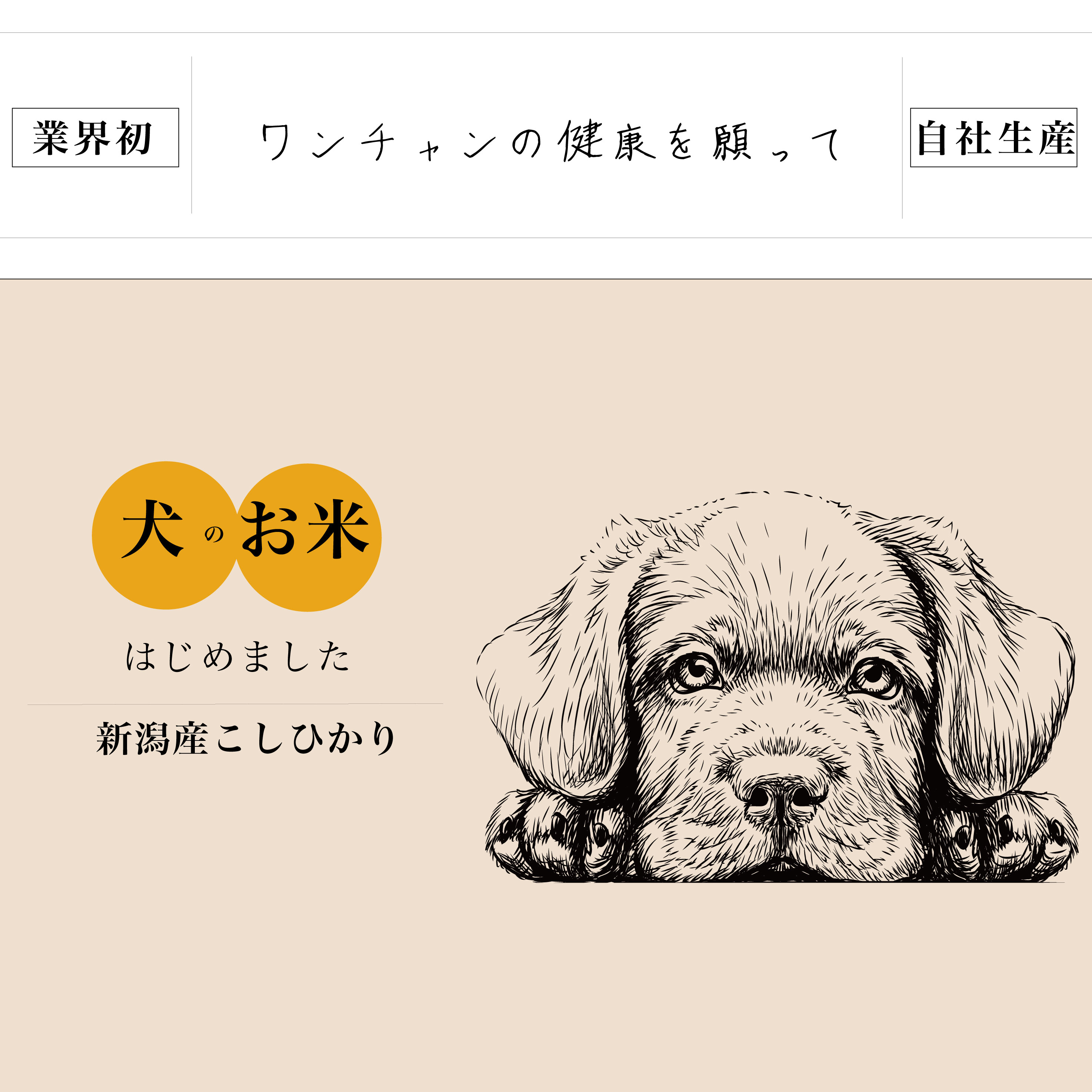 チープ 450g 白米 産地直送 3合 新潟産こしひかりHIBARI お試し ポイント消化 お