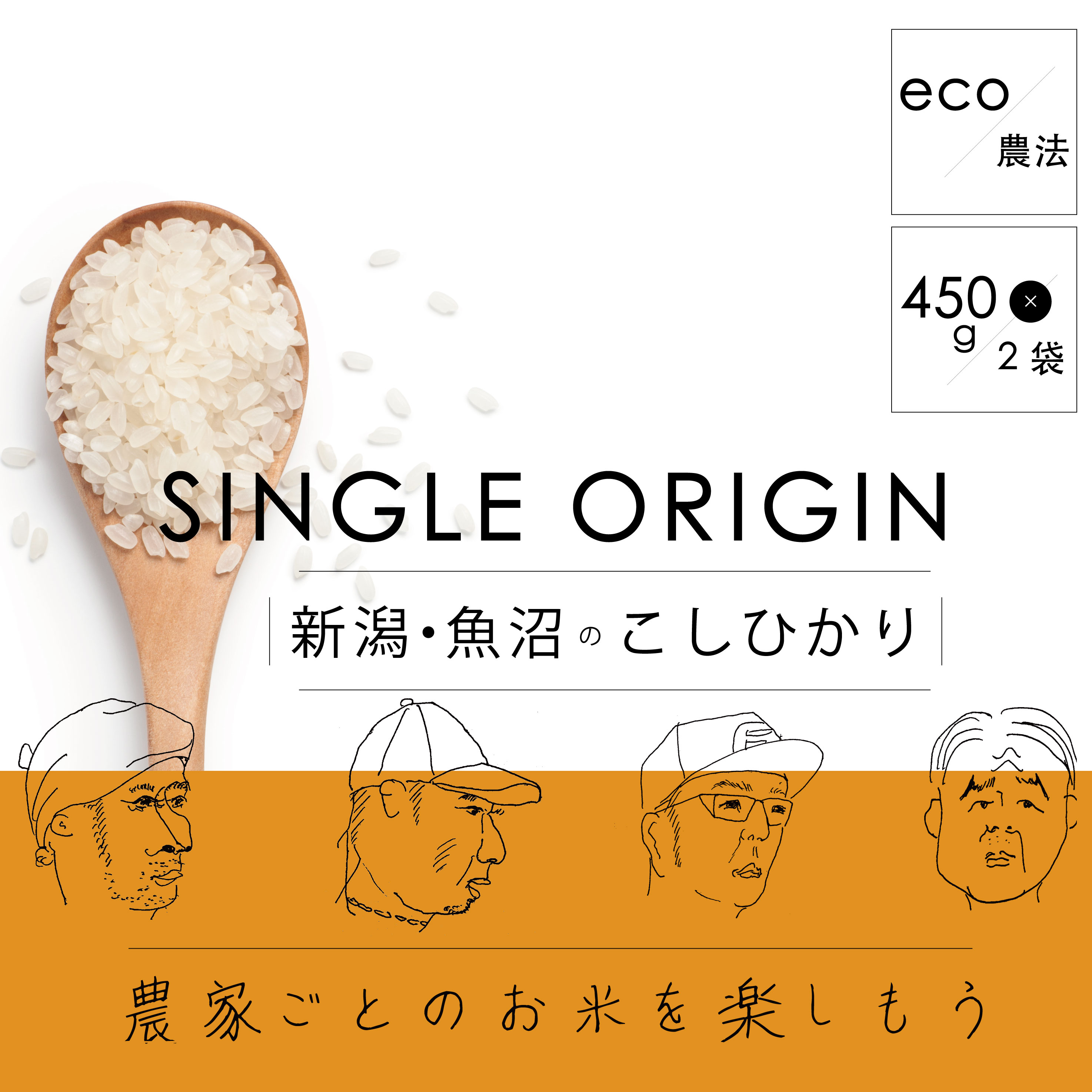 チープ 450g 白米 産地直送 3合 新潟産こしひかりHIBARI お試し ポイント消化 お