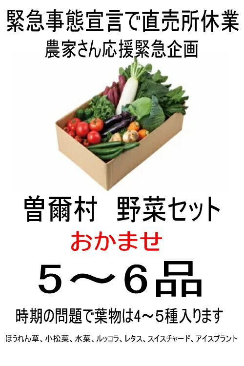 楽天市場 コロナに負けるな 第5弾 奈良 曽爾高原 春野菜 おまかせ野菜おまかせ5 6品セット 高原 特有の寒暖の差が生み出すうまみコク凝縮 出荷は月 金 送料無料 北海道 沖縄離島は 送料別途 500円 一部地域 A送料 お取り寄せグルメ 観光地応援 ファーム