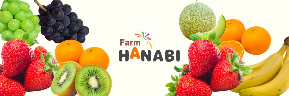 �ե�����HANABI����ŷ�Ծ�Ź