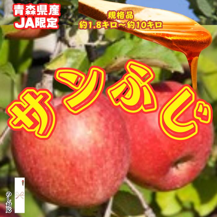 【りんごの王道！】 ringo リンゴ 林檎 サンふじ お取り寄せ 青森県 JA限定 約 3キロ ～ 約 10キロ 青森 サンふじりんご 10kg 青森リンゴ 青森りんご 箱 甘いりんご 美味しいりんご 甘い 贈答 贈答品 贈り物 季節の果物 国産 フルーツ 果物 ギフト 数量限定