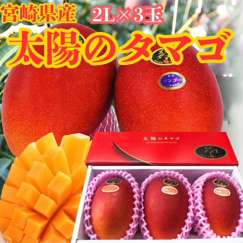 【太陽のタマゴ】宮崎完熟マンゴー マンゴー 2L×3 くだもの フルーツ 高級果物 季節の果物 季節のくだもの 季節のフルーツお取り寄せ 贈答品 贈答 ギフト 高級ギフト 贈り物 プレゼント フルーツギフト お祝い 人気 おすすめ 数量限定 期間限定 送料無料