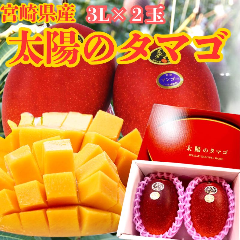 【太陽のタマゴ】宮崎県産マンゴー 3L×2 完熟マンゴー マンゴー 贈答品 高級フルーツ 宮崎県産 お取り寄せ 南国フルーツ 高級果物 贈り物 季節の果物 宮崎 国産 母の日 父の日 お中元 フルーツ 果物 くだもの 数量限定 人気 おすすめ 期間限定 送料無料