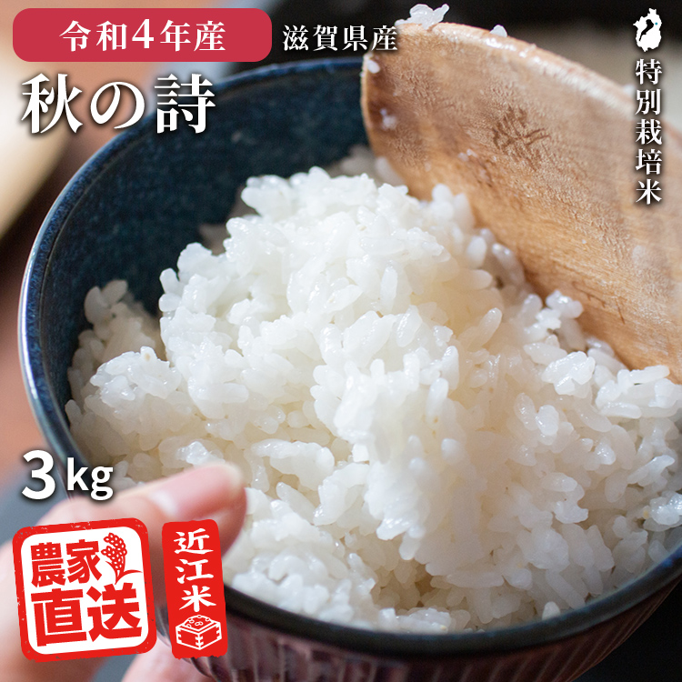◇新米 コシヒカリ 玄米5kg (農家直送)