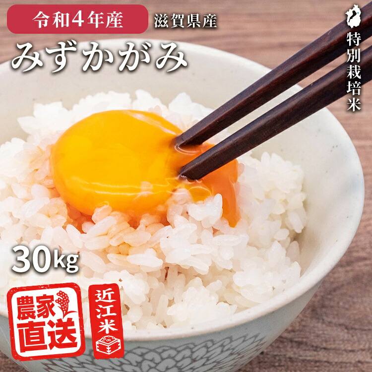 97%OFF!】 きれいな 良質上白米 24kg 白米 送料込み 10kg×2+4kg HJ4