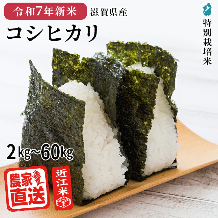 ●○送料無料●令和6年産●コシヒカリ　こだわり近江米20㎏●滋賀県●減農薬○○● 楽天市場】令和6年産 滋賀県産 近江米 コシヒカリ10kg 滋賀 米