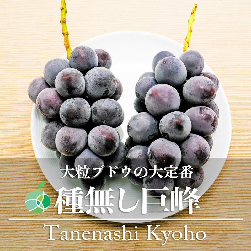 楽天市場】クイーンルージュ® ぶどう 贈答用 秀 約1kg 2房 長野県産