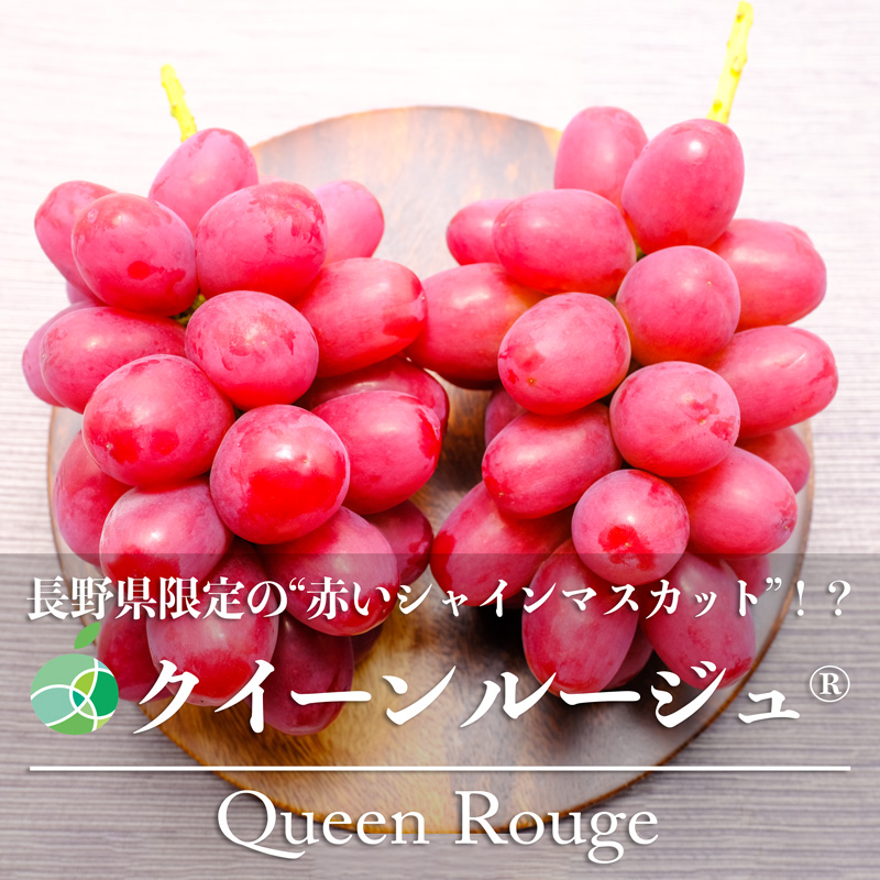 楽天市場】クイーンルージュ® ぶどう 贈答用 秀 約1kg 2房 長野県産