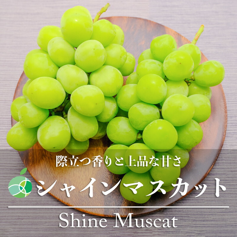 楽天市場】送料無料 シャインマスカット ぶどう 贈答用 秀 約1kg 2房 長野県産 : ファーム大澤屋