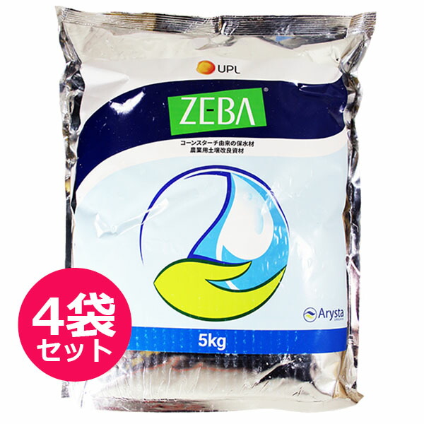 楽天市場】3/5(木)限定!当選確率1/2!最大100％Pバック(上限あり・要