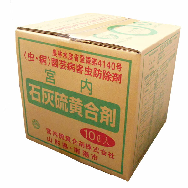 楽天市場】2/20(金)限定!当選確率1/2!最大100％Pバック(上限あり・要