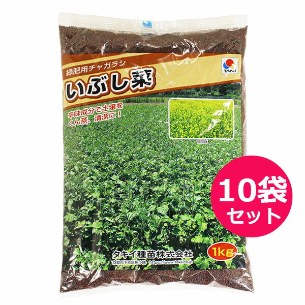 運動場保護すること用除草剤 液剤 花・ガーデン・DIY-ガーデニング・農業-種子