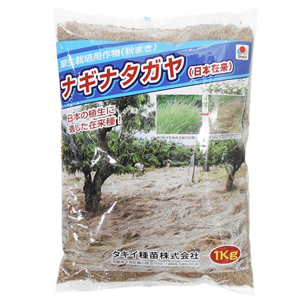 楽天市場】ナギナタガヤ(日本在来) 種 1ｋｇ 草生栽培用作物(秋まき