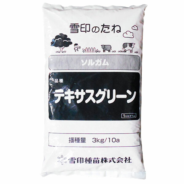☆種子☆処分☆ れんげ草 レンゲ 紫雲英, 43% OFF