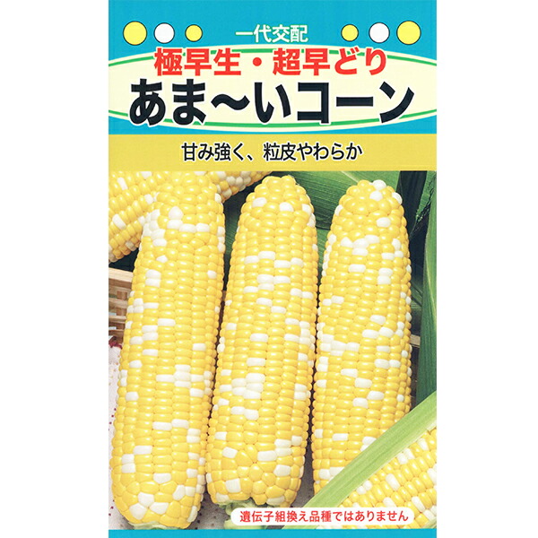 楽天市場】トーホク 野菜の種/種子 ベビーリーフ ぜいたく和風ミックス 種 （追跡可能メール便発送 全国一律370円）07910 : ファームトップ  楽天市場店