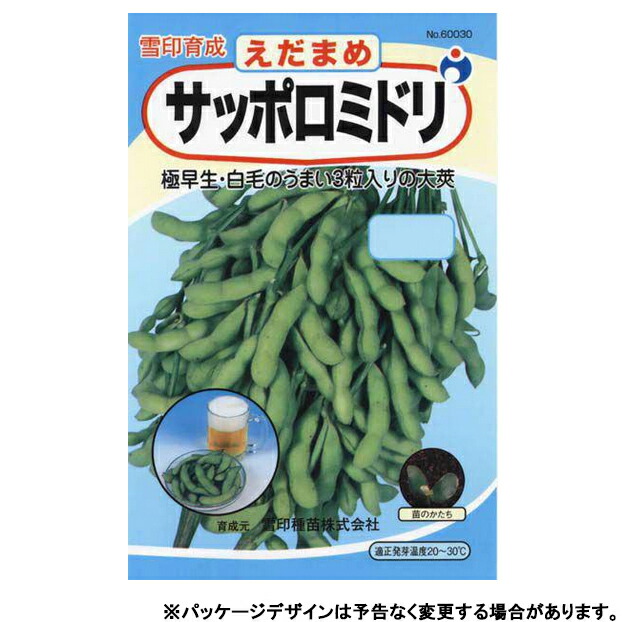 66円 【お得】 ウタネ 野菜の種 種子 レタス サニーレタス 種 追跡可能メール