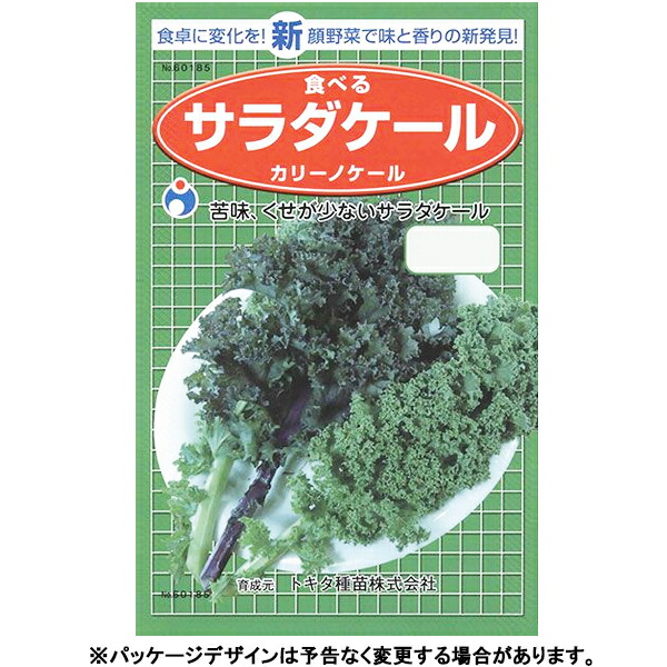 緑肥 らい麦 ヘアリーベッチ 1kg 休耕地に最適1,240円 まめむぎマルチ 2種混合種子