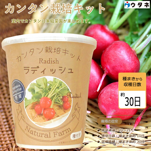 ウタネ 栽培セット 栽培キット カンタン栽培キット ウタネ 栽培セット 栽培キット カンタン栽培キット