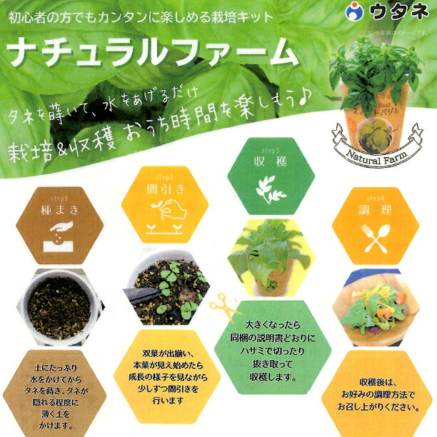ウタネ 栽培セット 栽培キット カンタン栽培キット ウタネ 栽培セット 栽培キット カンタン栽培キット