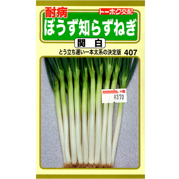 楽天市場】トーホク 野菜の種/種子 玉ねぎ サラダ玉ねぎ 種（追跡可能メール便発送 全国一律370円）08601 : ファームトップ 楽天市場店