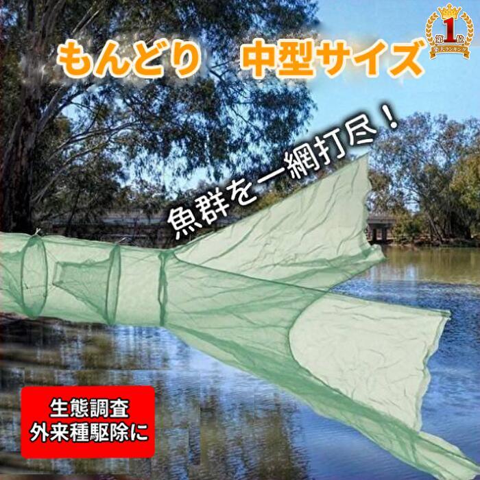 楽天市場】＼必ず当たる!!最大50％OFF☆24日20時〜／ うなぎ