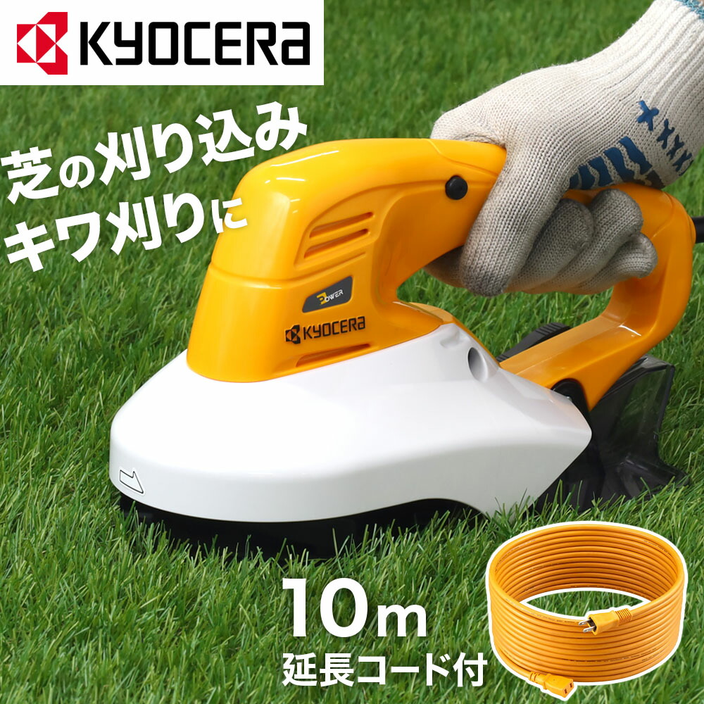 楽天市場】＼必ず当たる!!最大50％OFF☆24日20時〜／ 【 正規